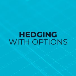 Options Trading - Hedging